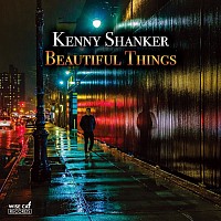 Kenny Shanker- Beautiful Things